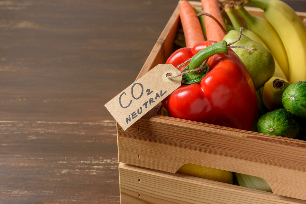 Santé, viande et climat